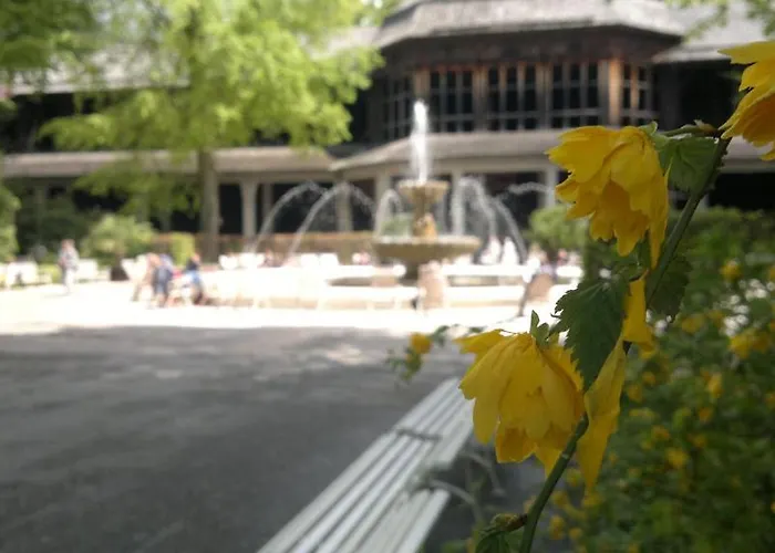 Steiermark באד רייכנהל